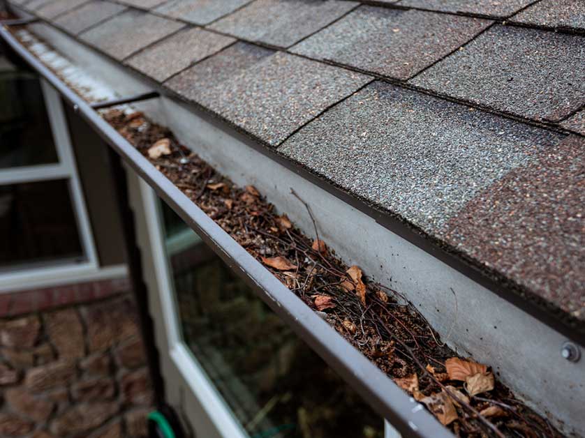 How Clogged Gutters Can Damage Your Roof